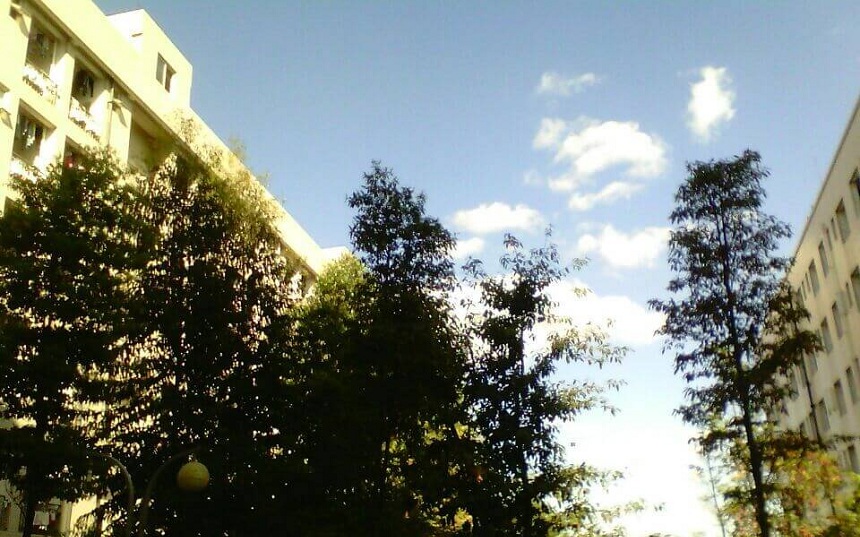 中江实验中学往年升学率高不高？