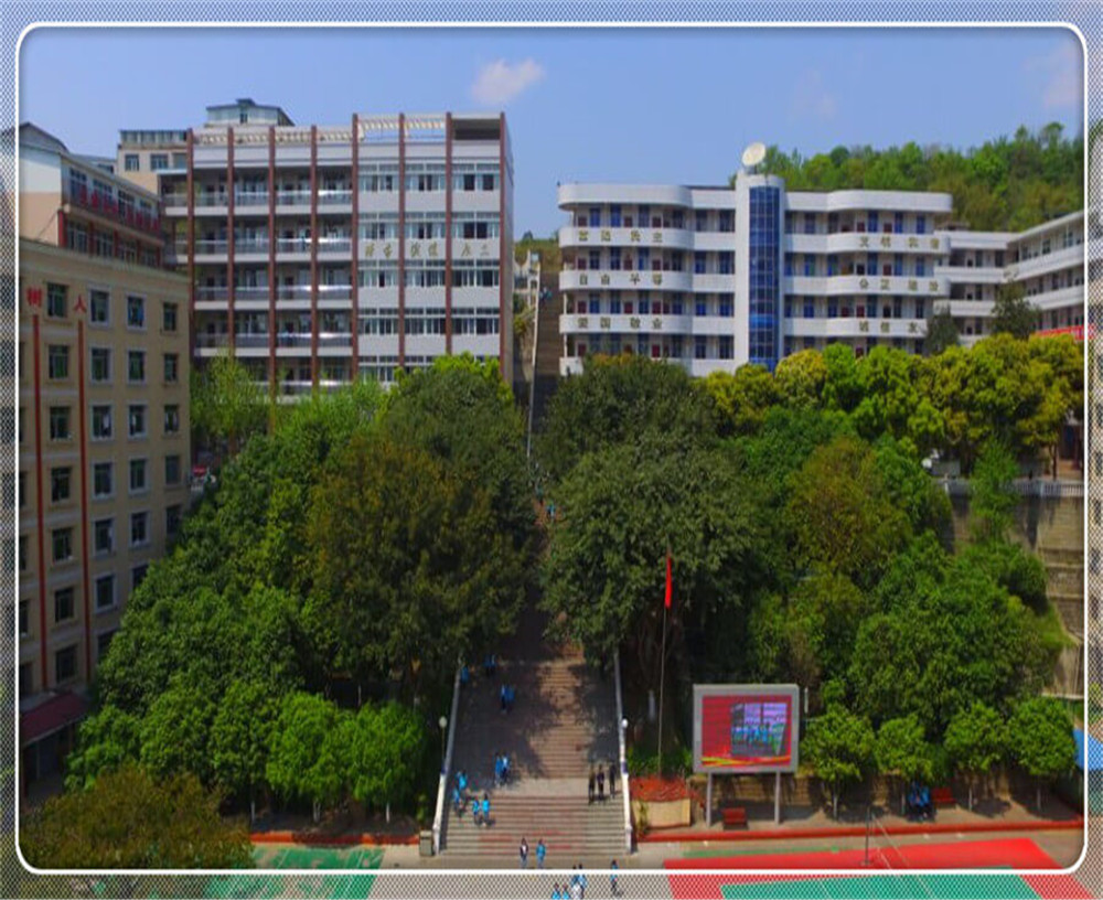 苍溪实验中学2020年招生简章公布了吗？