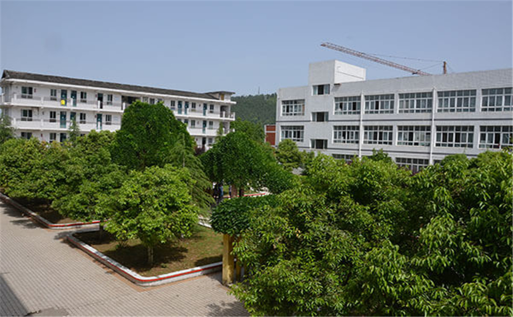 曾口中学2020年招生计划公布了吗？