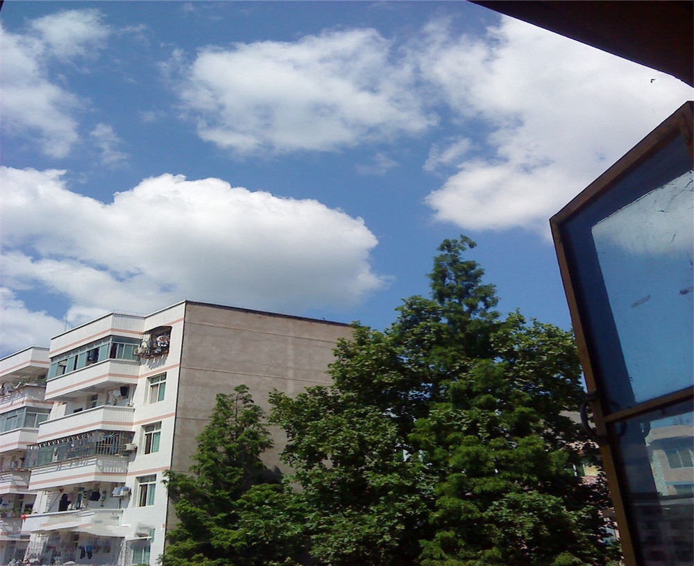 开江县任市中学2020年的招生计划公布了吗？