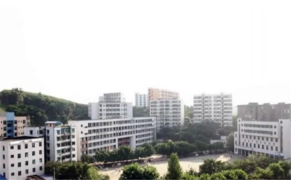 邻水二中2020年的录取分数是多少？