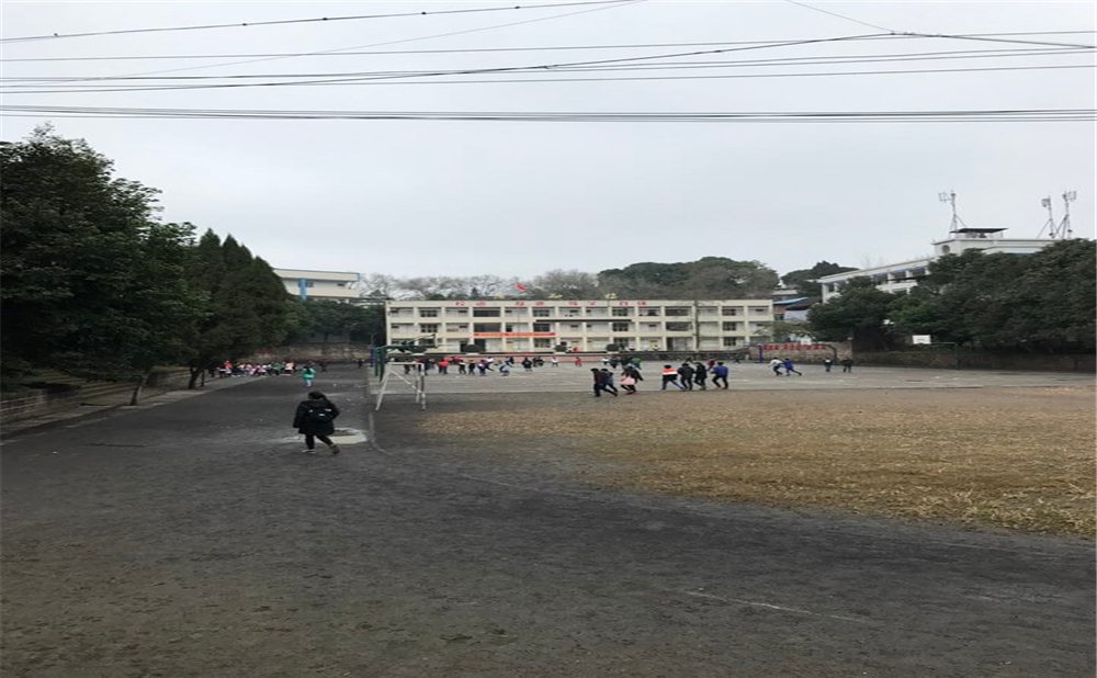 内江十二中2020年学校学费多少钱一年？