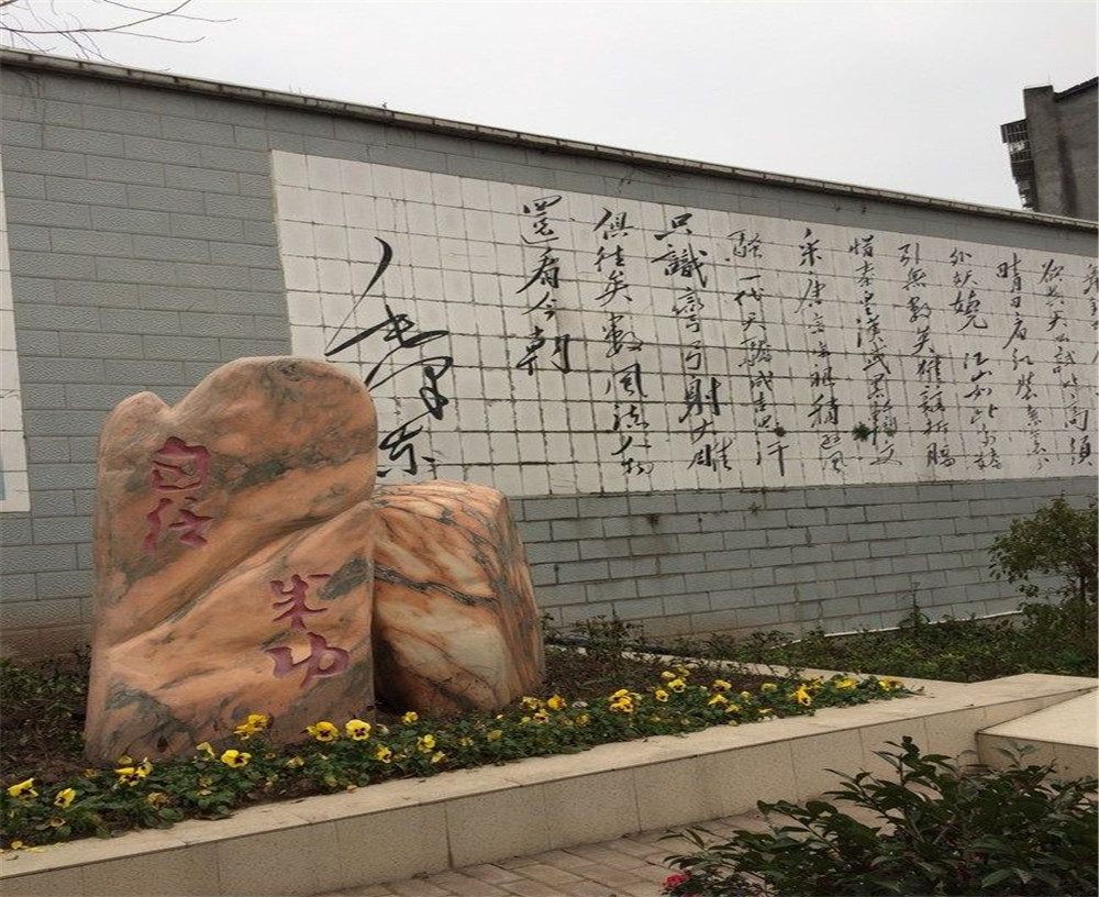 蒲家中学2020年招生计划在哪儿看？