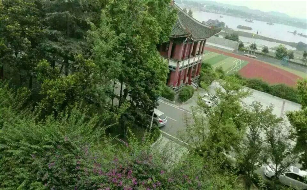 南充龙门中学学校环境怎么样？