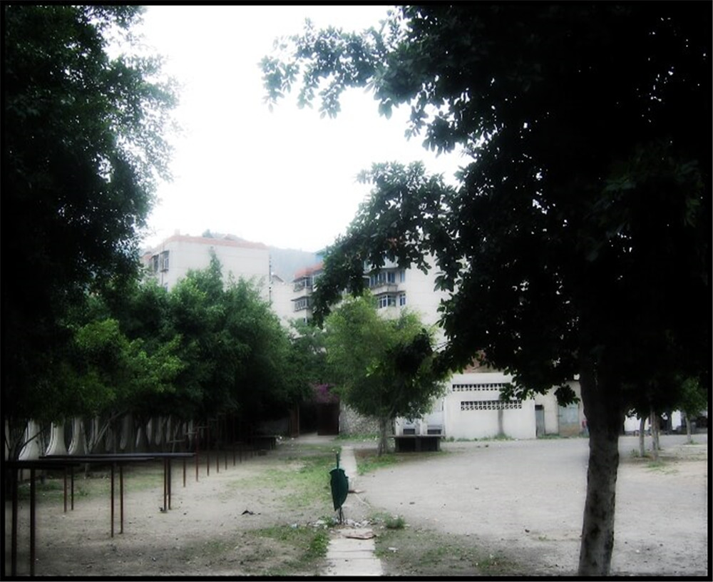 攀枝花市延边县中学校招办电话是多少？