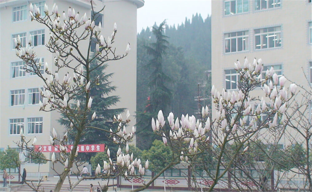 建兴中学2020年中考录取分数线多少分？