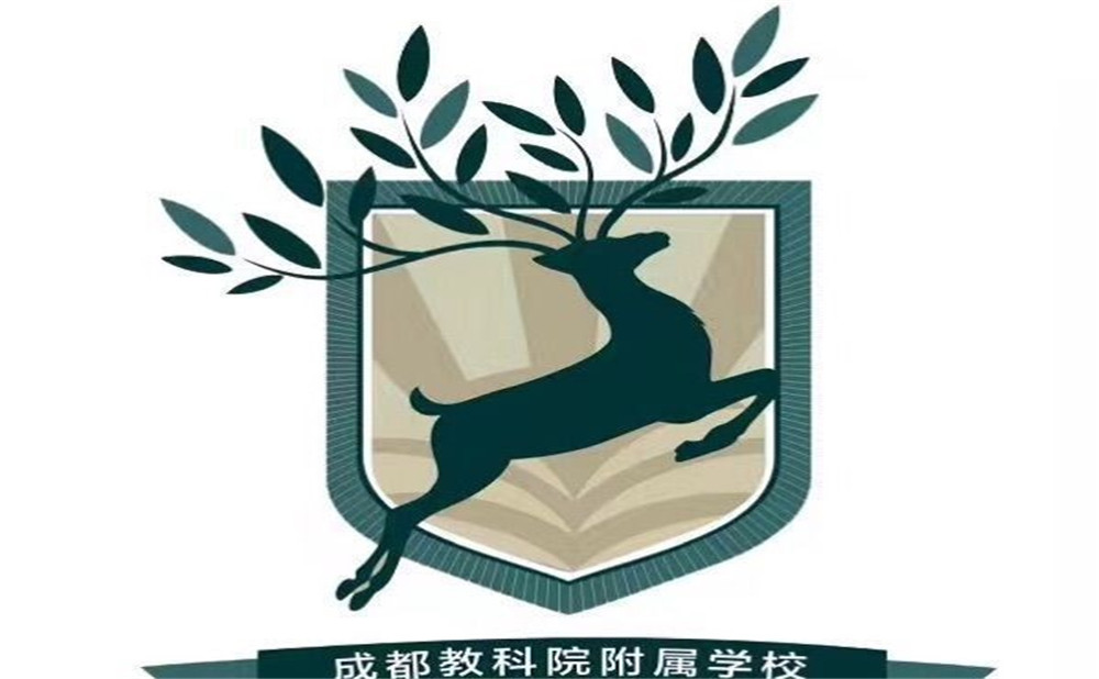 成都教科院附属学校2020年的招生计划发布了吗？