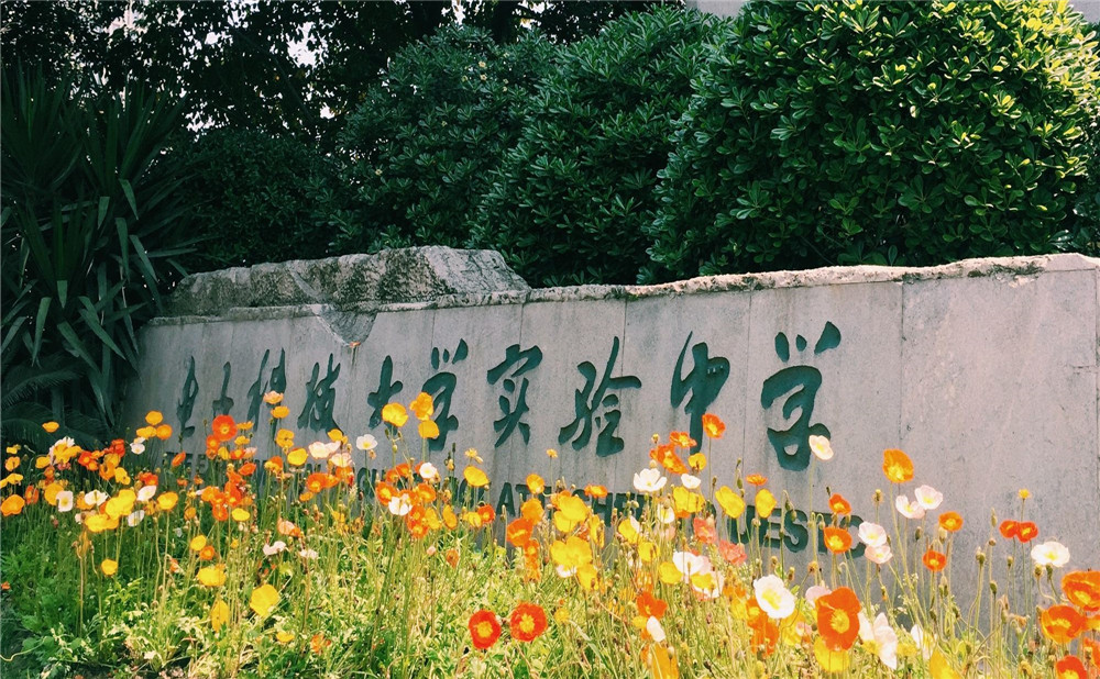 电子科技大学实验中学每年的学费是多少？