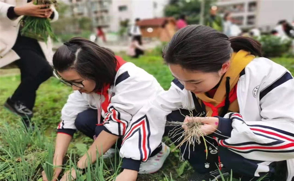 成都树德中学光华校区招生计划是多少