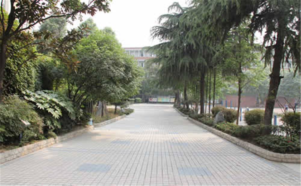 成都列五中学的老师怎么样？