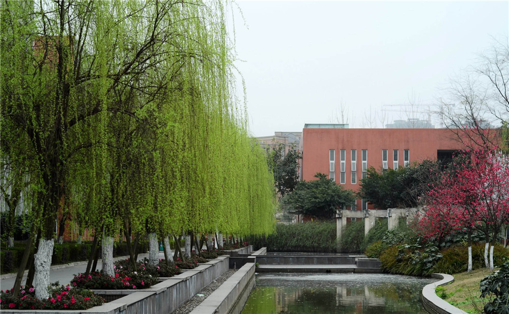 香城中学高中部的录取分数是多少?