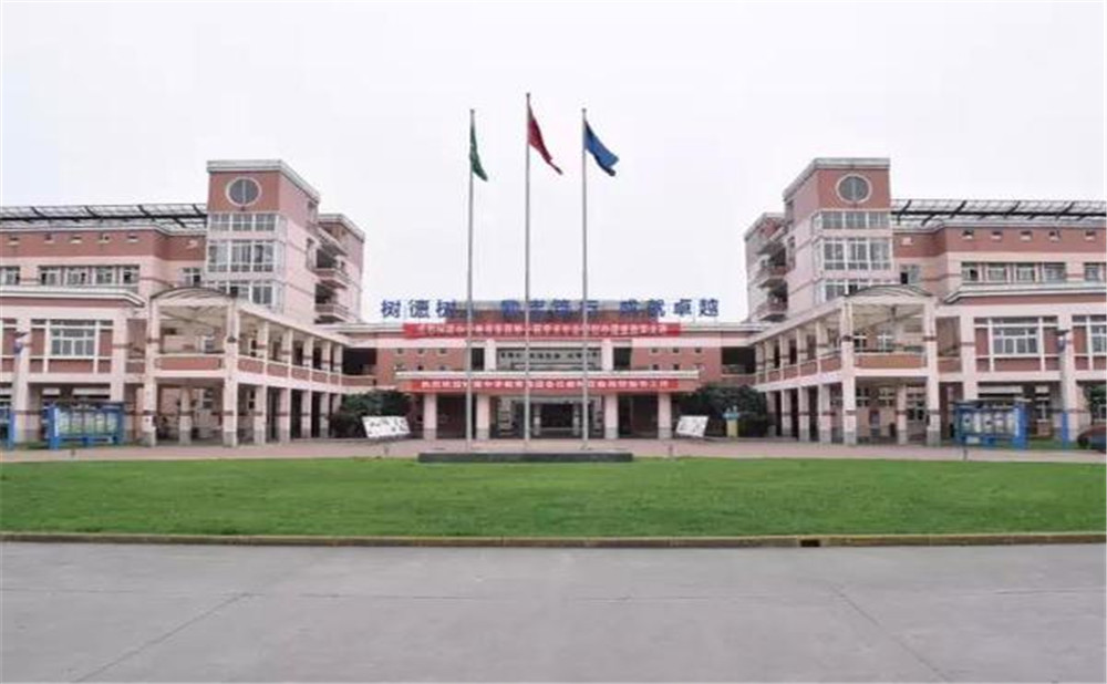 树德博瑞实验学校去年的录取分数线是多少？