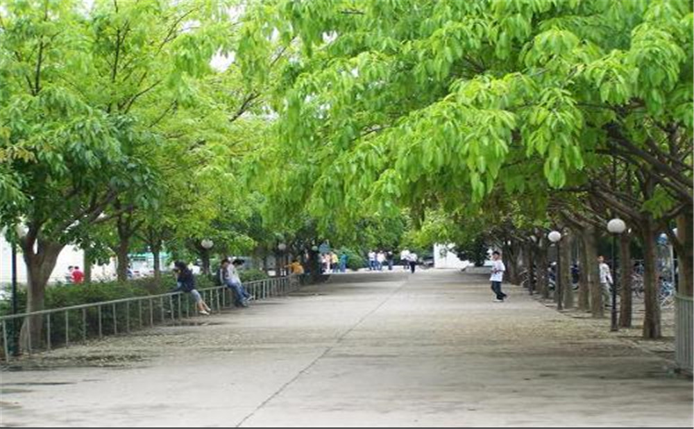 金堂实验中学2020年招生计划是多少？