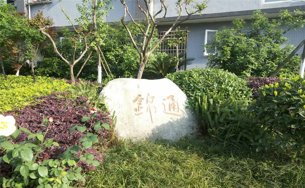 通锦中学2020年招生标准是什么？