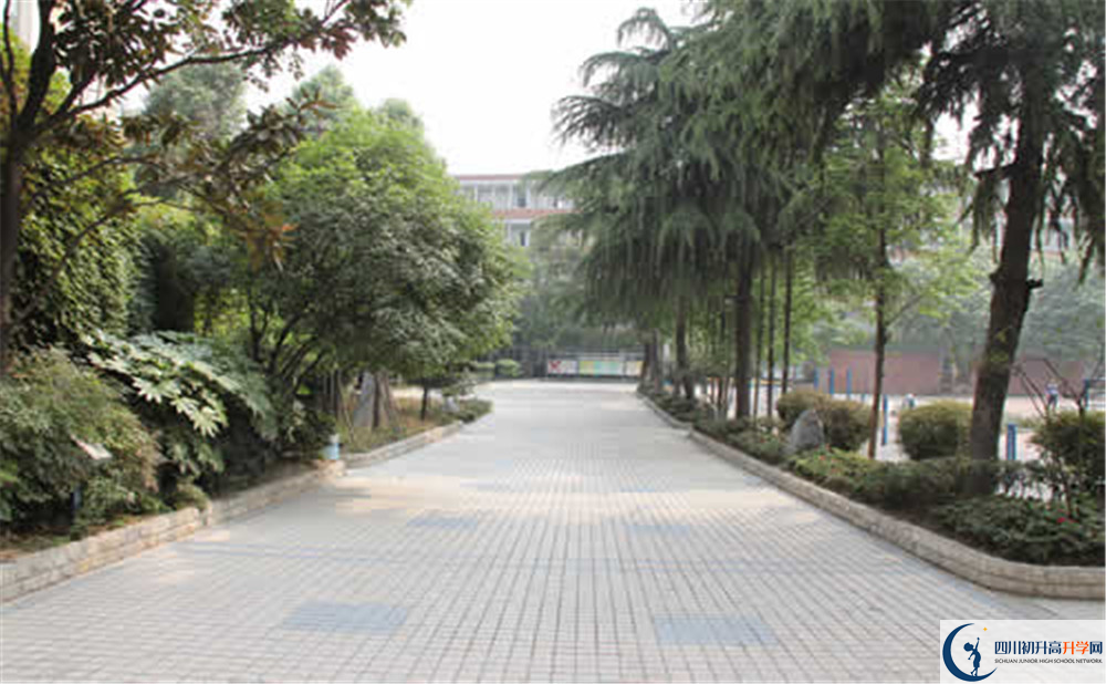 2020年成都列五中学的升学率有多少？