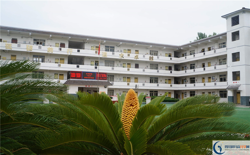 2020年高板中学的升学率有多少？