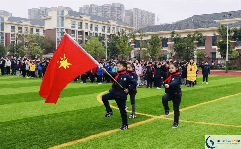 成都教科院附属学校的学费收费标准是多少？