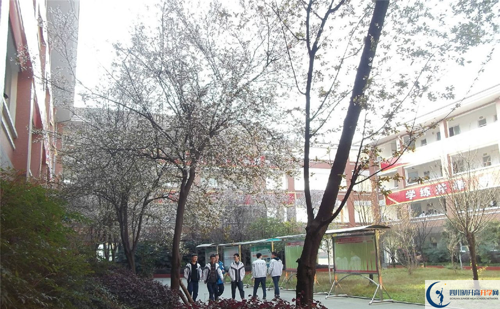 崇庆中学的学费大概是多少?