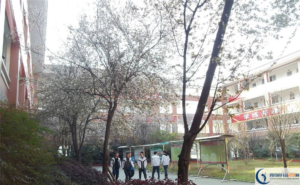 中考崇庆中学的招生分数线是多少?