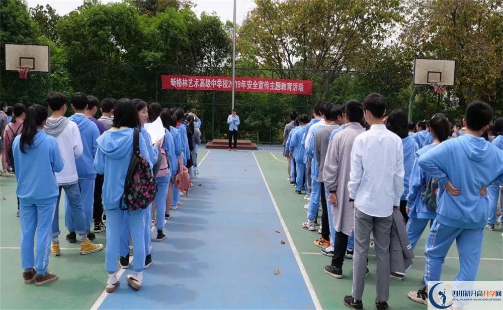 新格林艺术高级中学校的学费一期是多少？