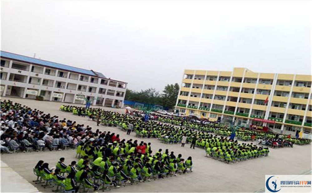 考养马中学的分数线是多少？