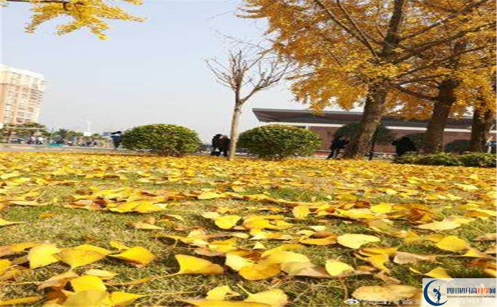 金堂实验中学的学费一期是多少？