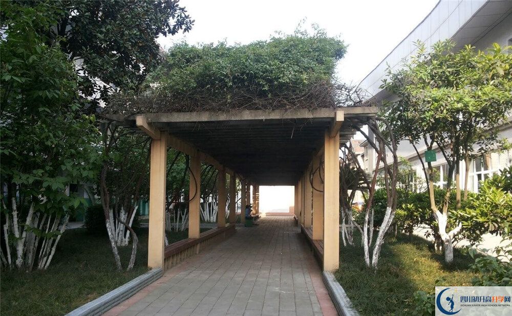通锦中学高中历年来的分数线是多少分？