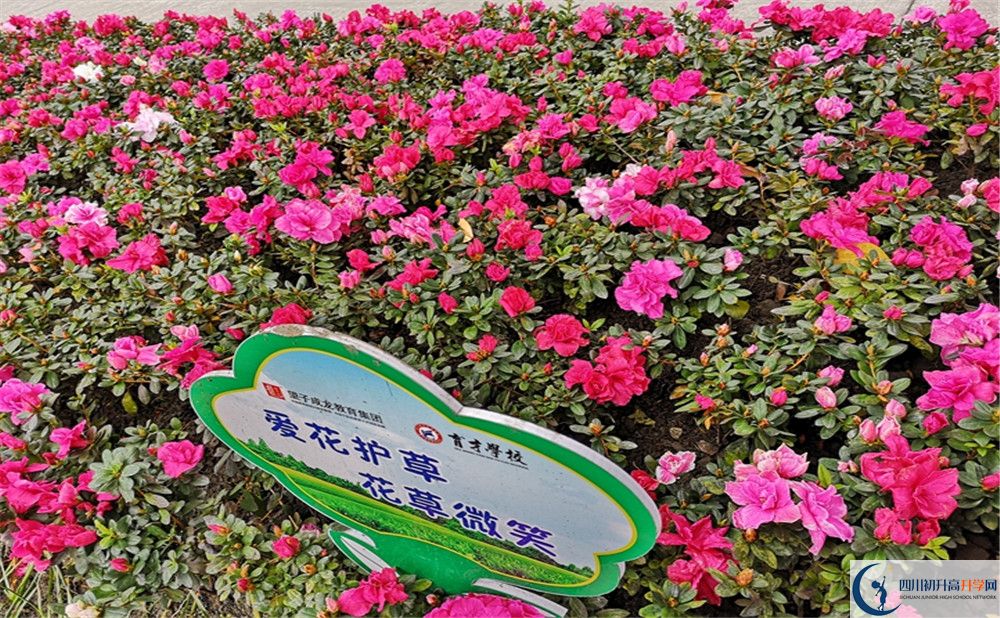 育才学校高中历年来的分数线是多少？