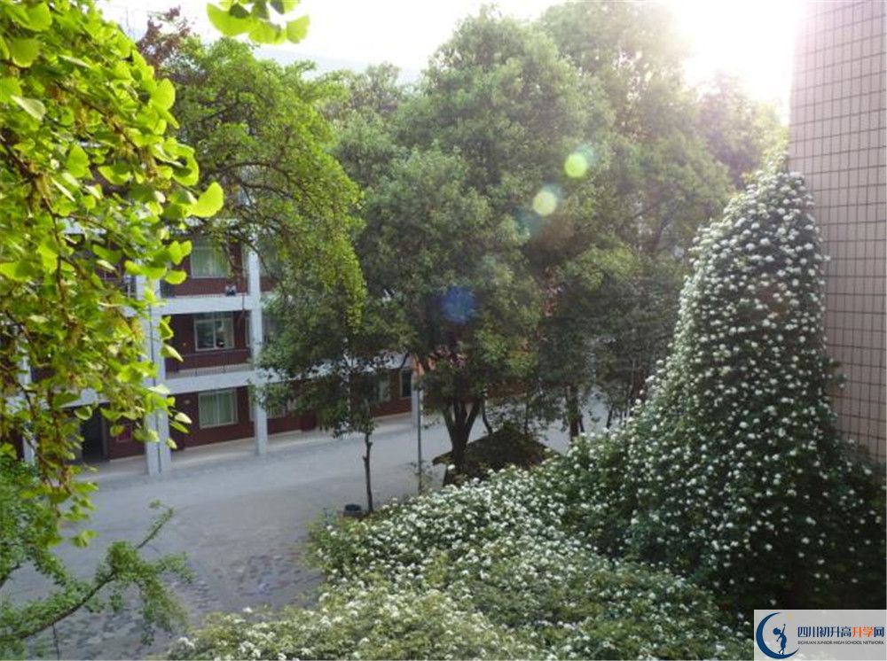 四川师范大学实验外国语学校2020年录取条件是什么？