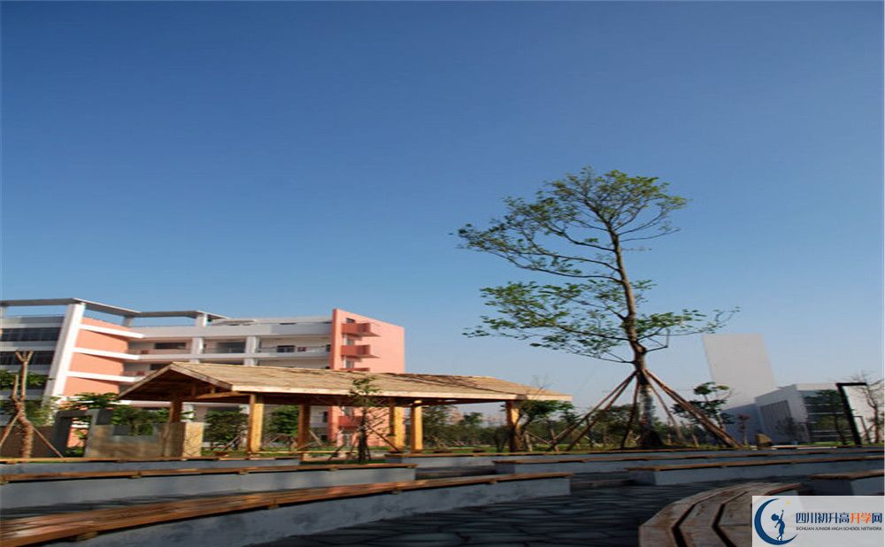 成都树德中学光华校区2020年上清华北大人数是多少？