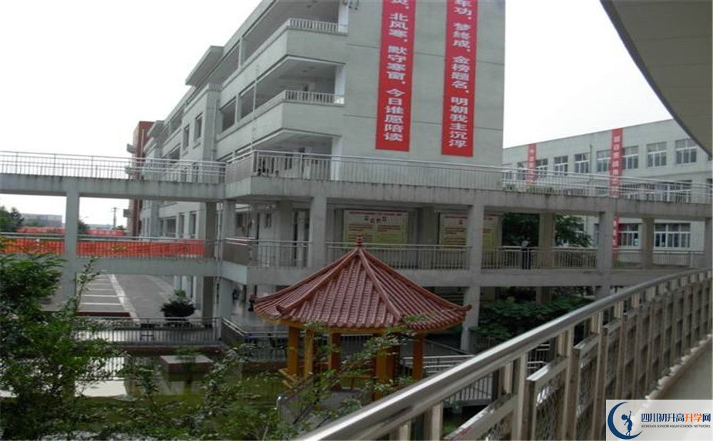 成都市龙泉中学初升高招生政策在哪儿看？					