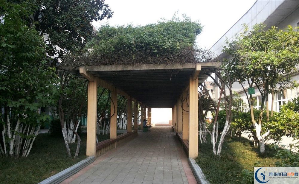 通锦中学2020年清华北大录取学生有多少？