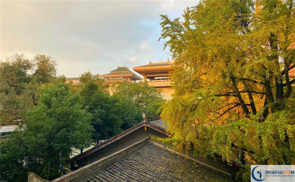成都石室中学招生考试科目有哪些？