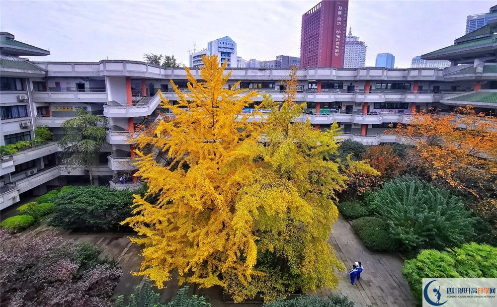 成都石室中学自主招生中考网上怎么报名？