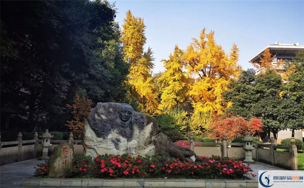 成都成飞中学是私立还是公立学校？