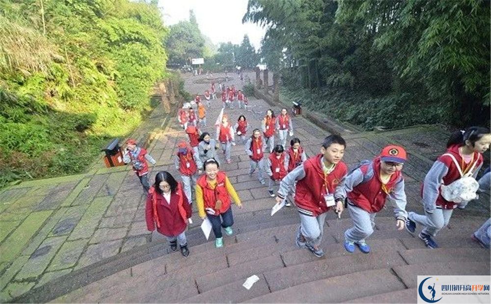 成都市泡桐树中学和树德中学谁好？