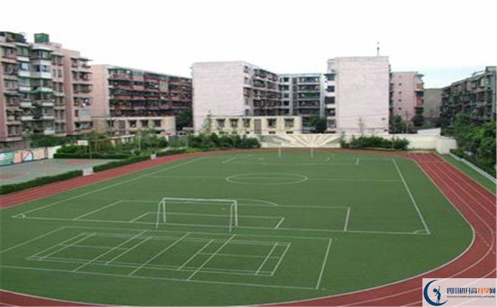 timg (2).jpg