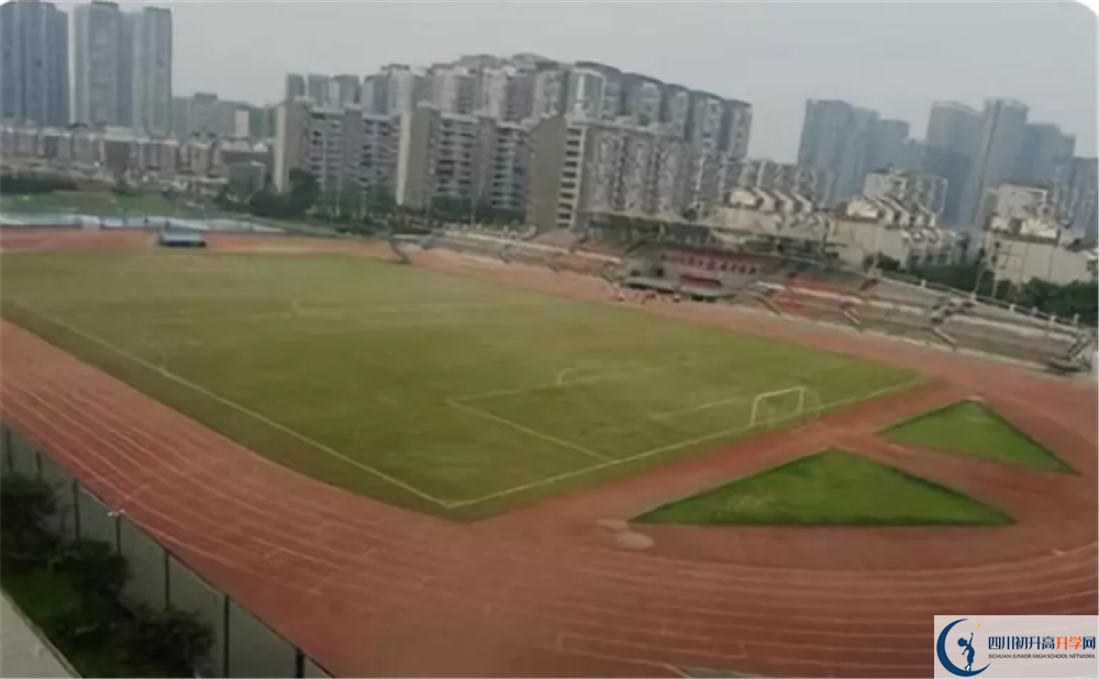 成都市华阳中学2020届高三期末试卷在哪里看？