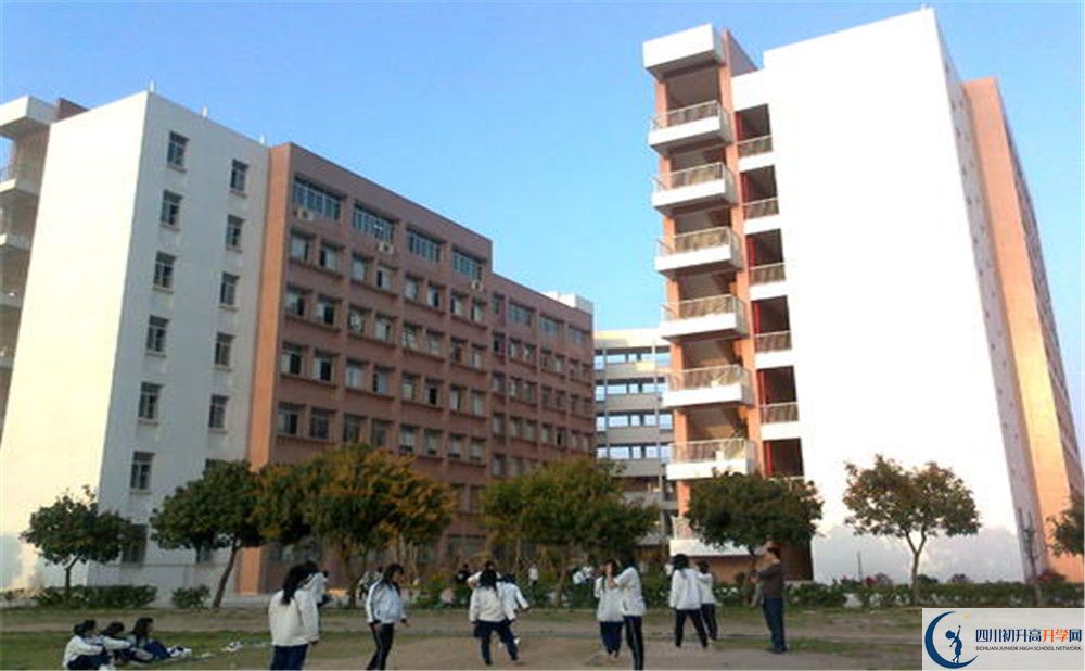 2020新津中学期末试卷数学在哪看？