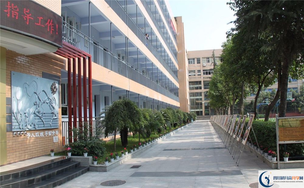 2020成都大学附属中学高三英语期末试卷在哪看？