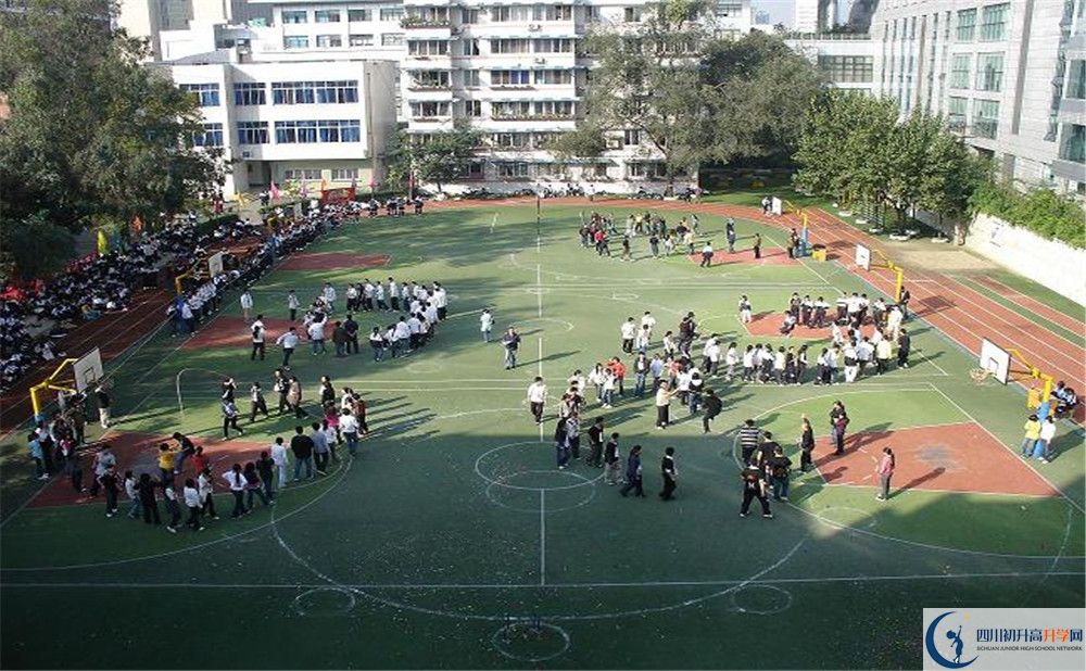 树德博瑞实验学校在校学生总人数是多少？