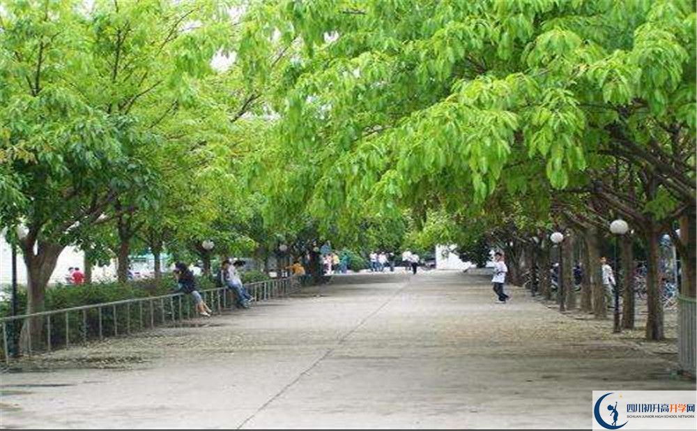 金堂实验中学在校学生总人数是多少？