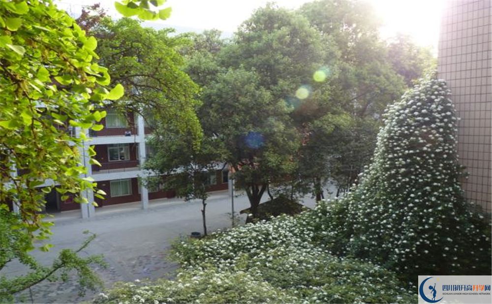 2020石室联合中学蜀华分校二诊数学试题答案在哪看？