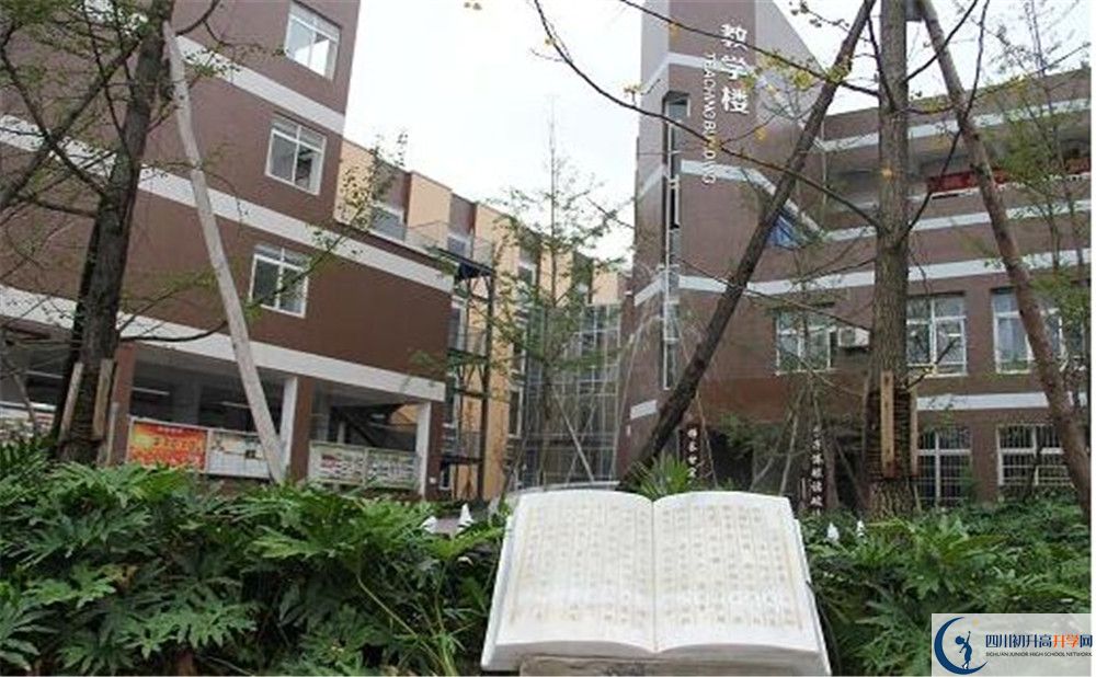 金牛中学2020暑假放假时间安排是怎样的？