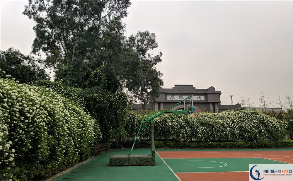 西昌市第七中学高一分班吗？