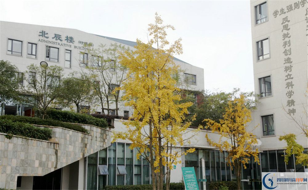 2020年成都实外西区在成都排名是多少？