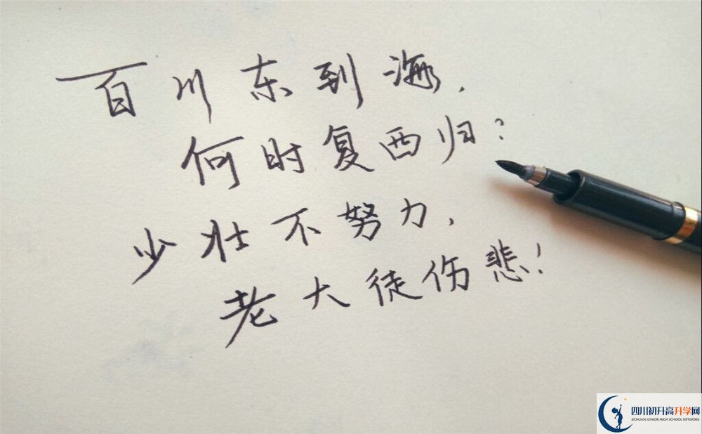 2020年成都籍田中学收分是多少？