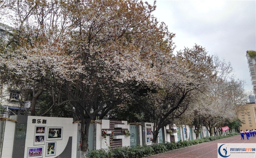 成都大学附属中学2020年高考成绩好不好？