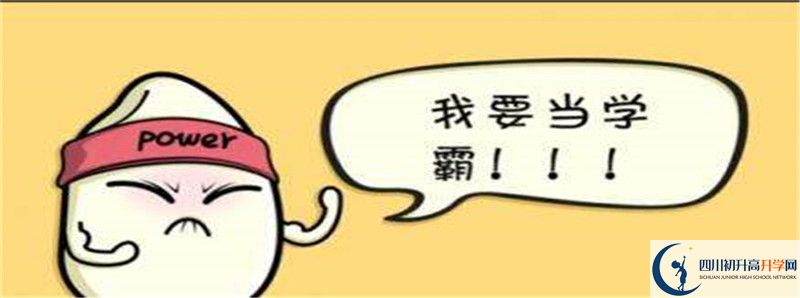 成都树德中学2021清华北大录取学生多少？